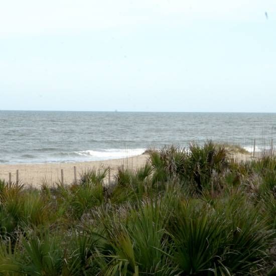 The Vue At Beachside Colony Tybee Island Φύση φωτογραφία